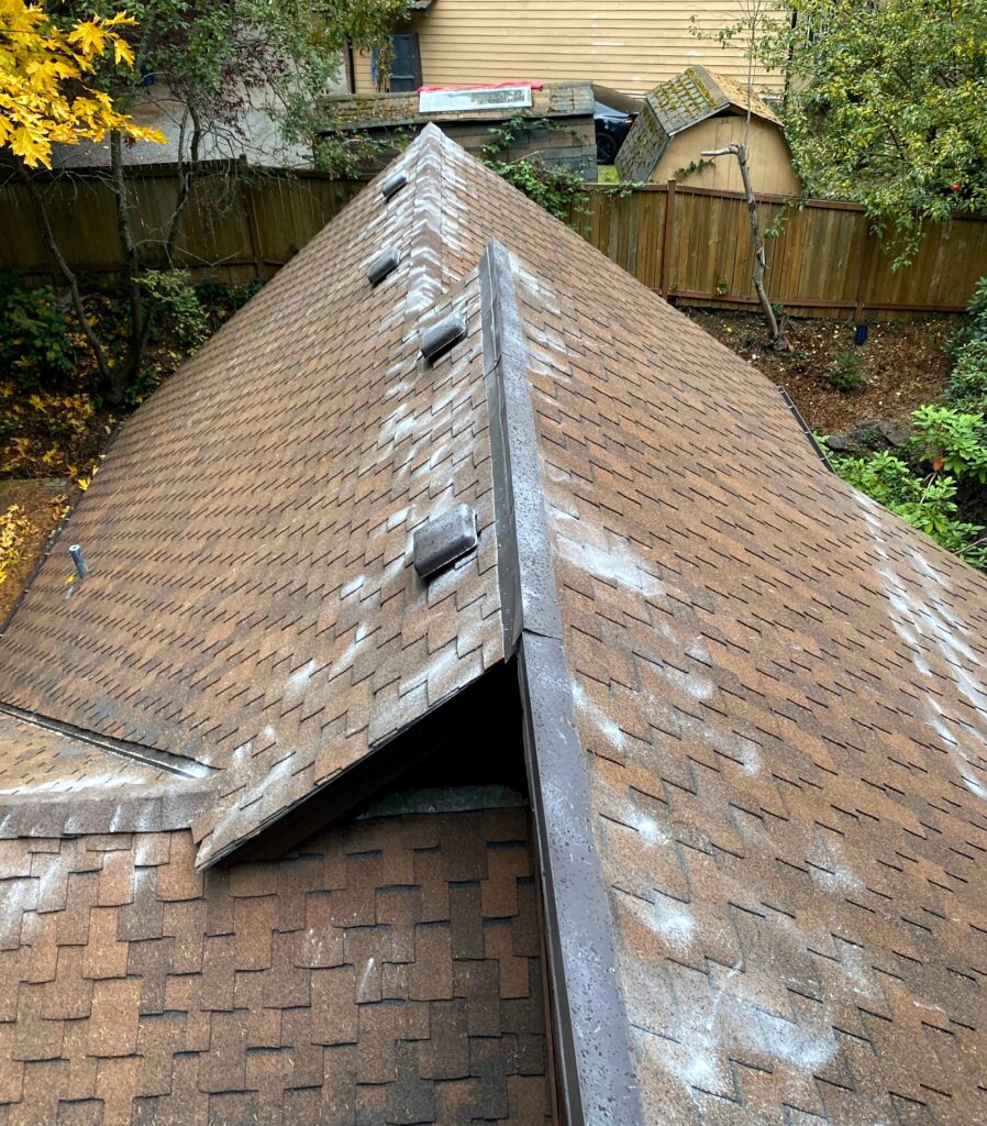 roof clean